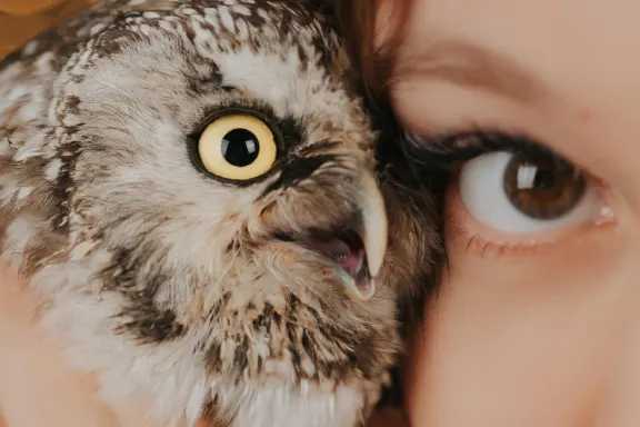 カジノ ウェルカム ビンゴ サポート